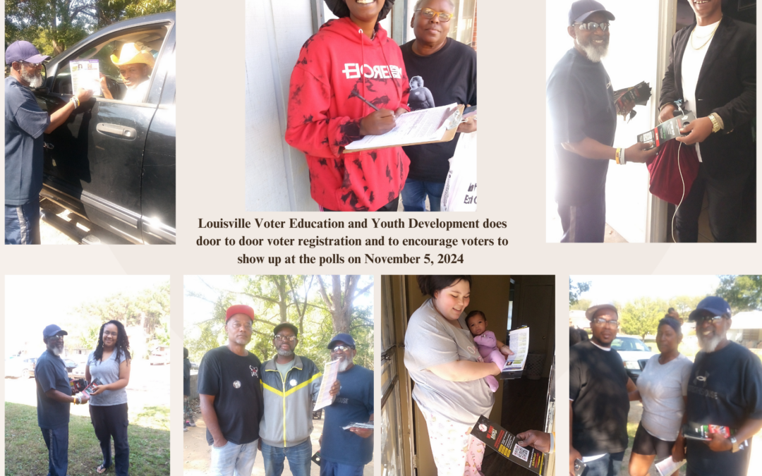 LVEYDI’s Door to Door Voter Registration and Voter Education Drive